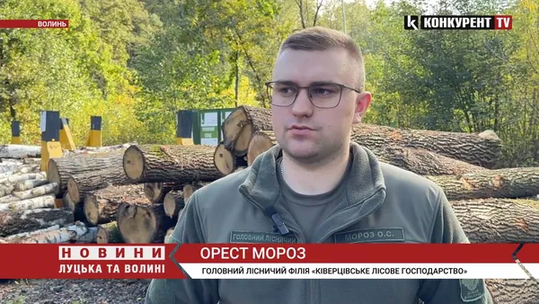 Зима близько: скільки на Волині коштують дрова (відео)