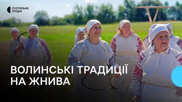 «Так робили предки»: яких традицій на Волині дотримуються під час жнив