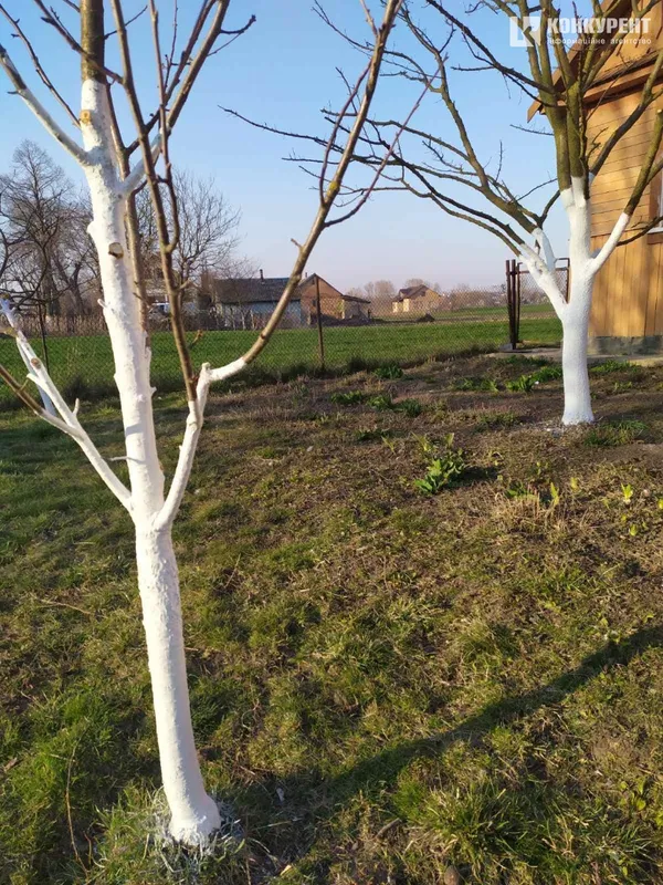 Чи безпечно у селі, або Як дотримуються карантину у віддалених куточках Волині