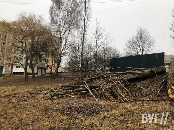 Карма: у Нововолинську суха тополя впала на авто, припарковане у «зеленій» зоні (фото, відео)