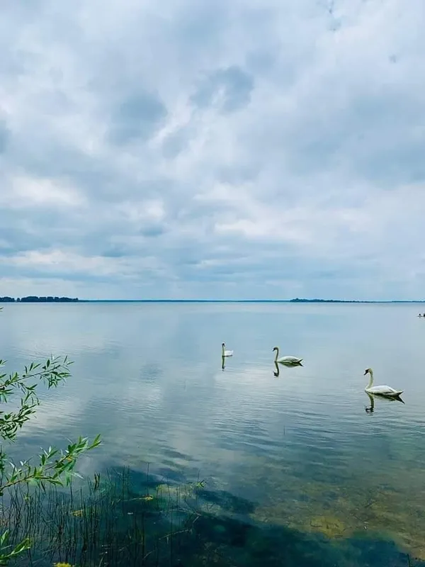 У Шацьких озерах вимірювали рівень води: які результати (фото)