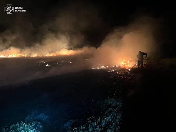 Горить стерня: Волинь потерпає від польових пожеж (фото)