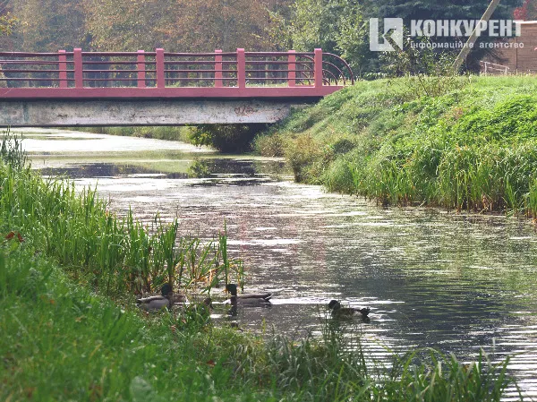 Осінь у луцькому парку: тиша і сплеск кольорів (ФОТО)
