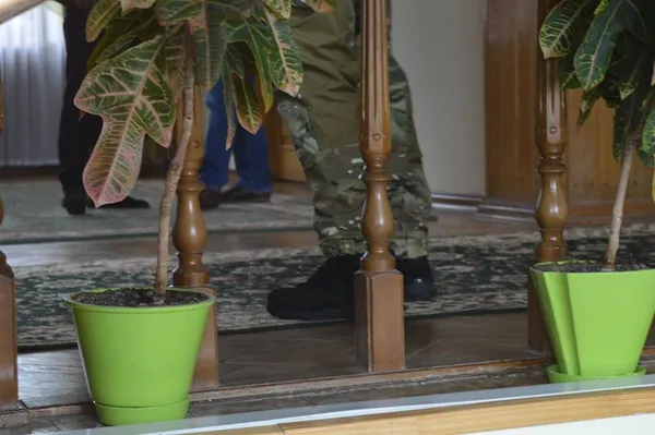 Відомо, чому обшукували лісників Волині (фото)