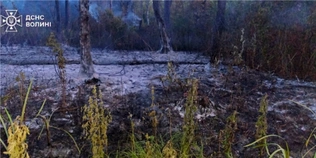 У розпал спеки на Волині побіліла земля: що за аномалія коїться (фото)