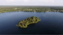 Серед лісів Полісся заховалося глибоченне карстове озеро з плавучим островом (фото)