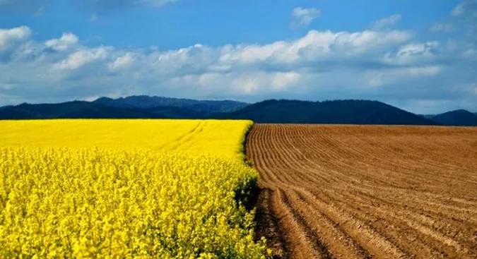 Кому заборонять купувати землю в Україні