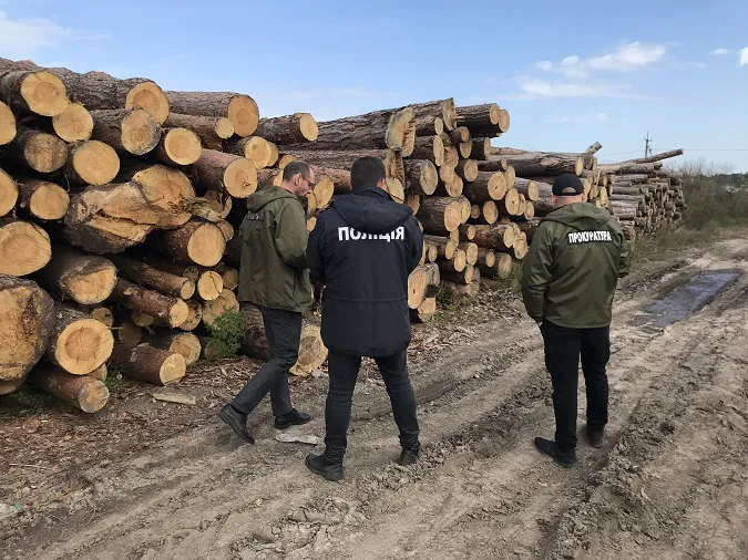 На Волині арештували понад 600 кубів незаконної деревини (фото, відео)
