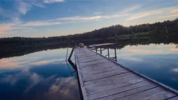 На Волині у дереві знайшли засушену жінку і назвали так село (відео)