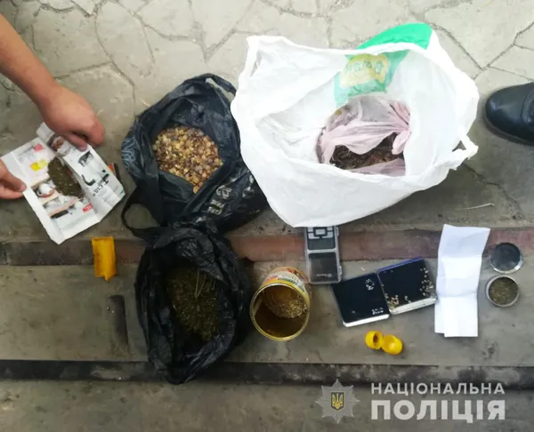 У гаражі лучанина знайшли наркотики й три кілограми бурштину (фото)