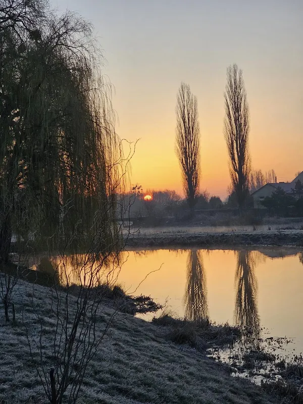 Морозний березневий світанок на Теремнівських ставках (фото)