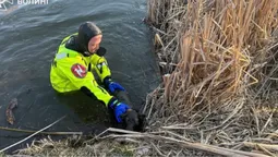 У Нововолинську надзвичайники в гідрокостюмах рятували пса з водяної пастки (фото)