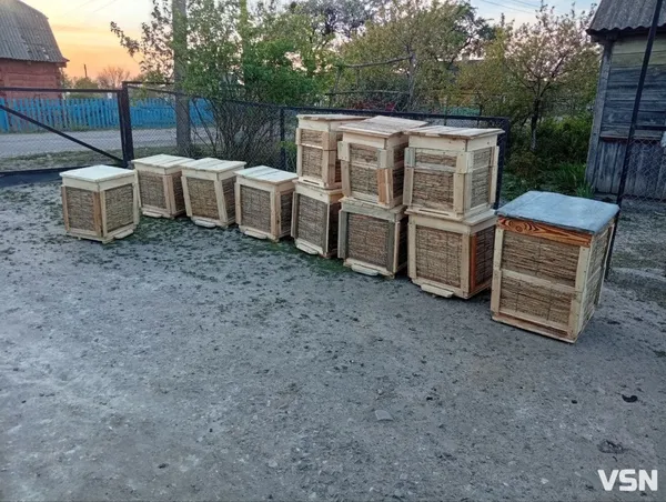 15-річний пасічник з Волині самотужки виготовляє вулики й мріє про 50 бджолосімей (фото)