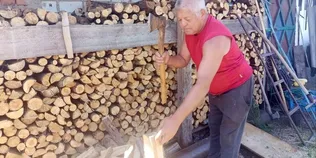 Дуже дорого: скільки коштують дрова на Волині (фото, відео)