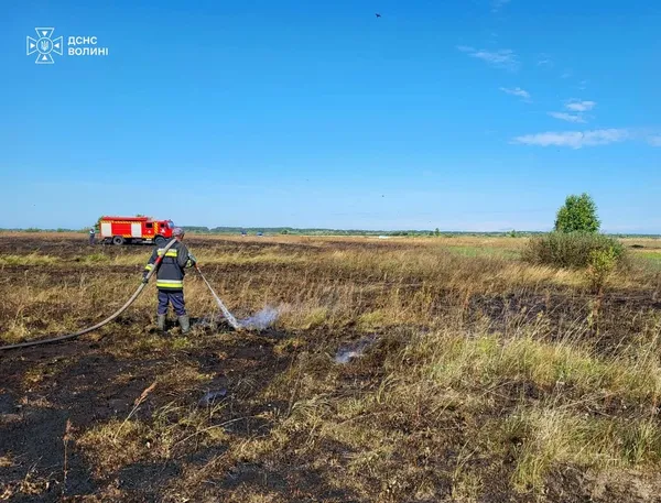 Вогонь охопив півтора гектара: на Волині горіли суха трава, чагарники та торф’яник (фото)