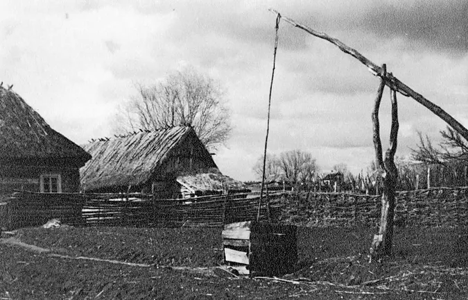 Журавлі приносили воду: як у селах Полісся вигадали втамувати спрагу (фото)
