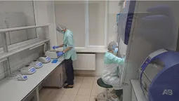 На Волині почали робити експертизу ДНК (фото, відео)