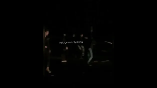На трасі Луцьк-Маневичі дерево впало на дорогу та перекрило рух (відео)