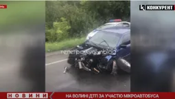 Вщент розтрощений капот: на трасі Луцьк – Ковель зіткнулися Mercedes Sprinter та BMW (відео)