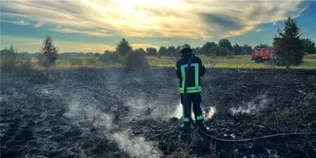 На Волині горять торфовища: вогонь охопив майже гектар території (фото)
