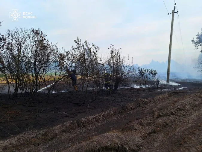 На Волині горять торф'яники (фото)