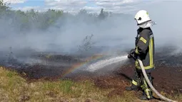 На Камінь-Каширщині горіло торфовище (фото)