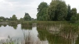 У Луцькому районі здають в оренду дві великі водойми для розведення риби