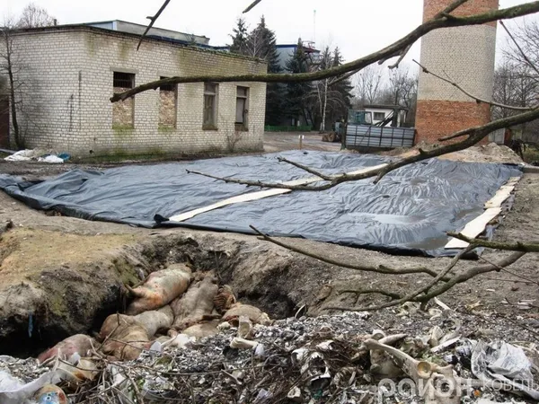 «Укрветсанзавод» скидає туші  тварин на околицях Ковеля (фото)
