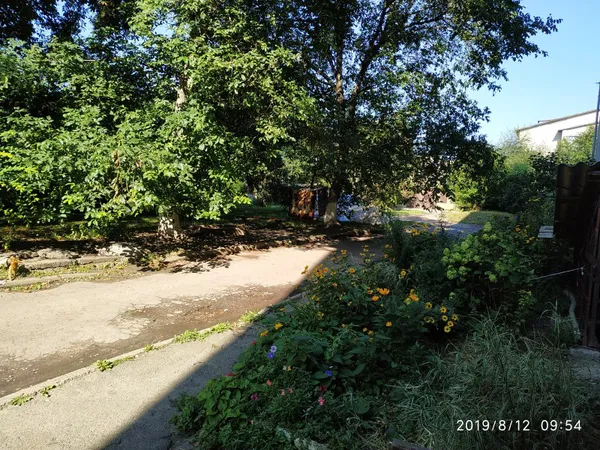Саморобна лавка і ліхтарик: у Луцьку скаржаться на занедбаний двір на Потебні (фото)