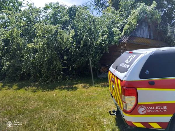Вирувала негода: на Волині дерево проломило дах будинку (фото)