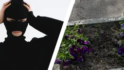 У Нововолинську вандали «живцем» повидирали квіти з Алеї Героям АТО (фото)