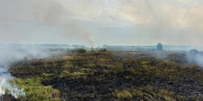 На Волині горять торф'яники (фото)