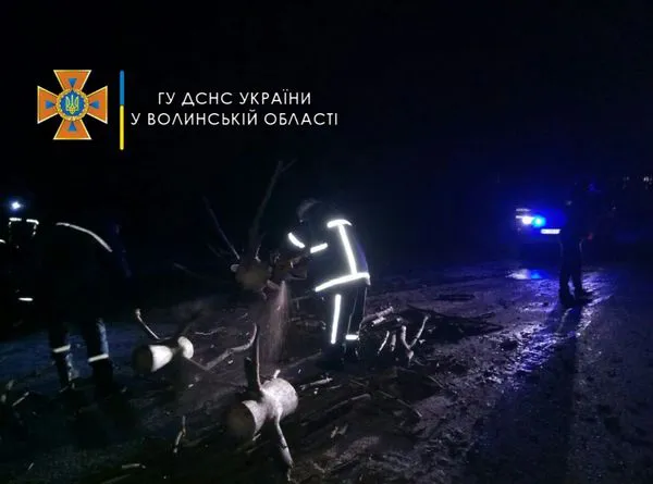 Повалені дерева на дорозі: на Волині вирувала негода (фото, відео)