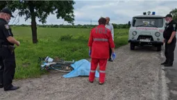 Труп чоловіка знайшли на трасі на Волині (фото)