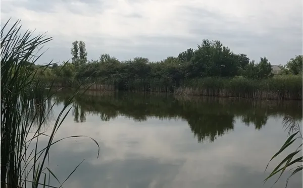 У Луцькому районі здають в оренду дві великі водойми для розведення риби