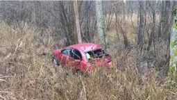 На Волині 58-річна полтавчанка на Mitsubishi злетіла у кювет (фото)
