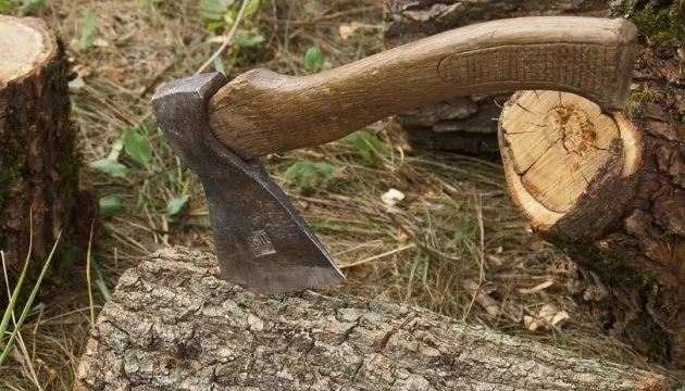 На Волині покарають лісоруба,  який завдав шкоди на 160 тисяч
