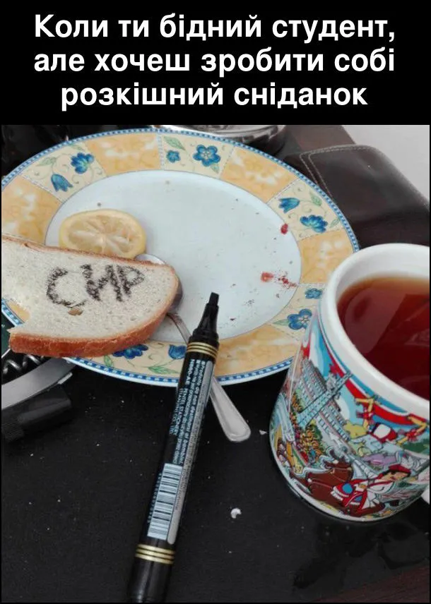 День студента: як про студентів жартують у інтернеті (меми)