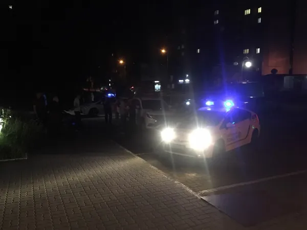 Бились та пручались: у Луцьку затримали агресивних чоловіків (фото)