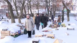 Мороз не зупиняє: що коїться на луцьких ринках (відео)