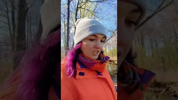 Дорога в один кінець: серед лісу на Волині знайшли таємне місце відпочинку з човнами і містками через річку (відео)