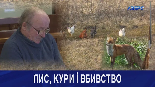 Волинянин отримав рік умовно за вбивство падчерки (відео)