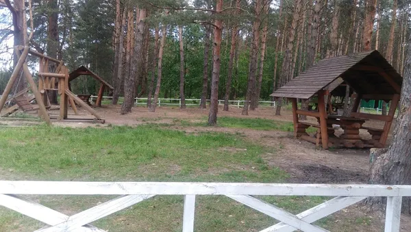 Волинські лісівники прибрали захаращений «Зелений гай» (фото)
