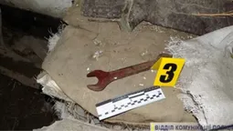 У Нововолинську судили чоловіка, який побив поліціянта гайковим ключем (відео)