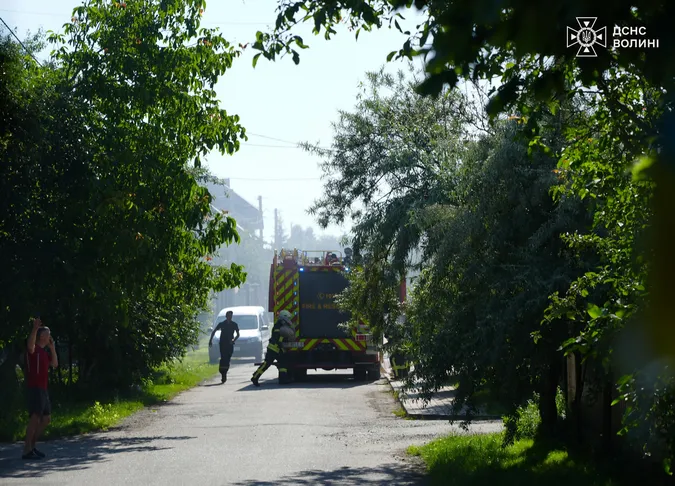 Вогнеборці винесли двох котів з пожежі під Луцьком (фото)