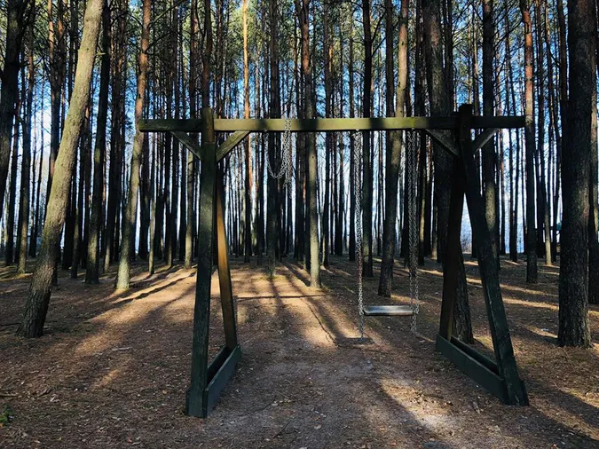 Казковий Світязь: показали свіжі фото зимового озера