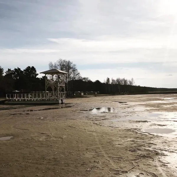 Як Аральське море: свіжі фото Світязю, які шокують