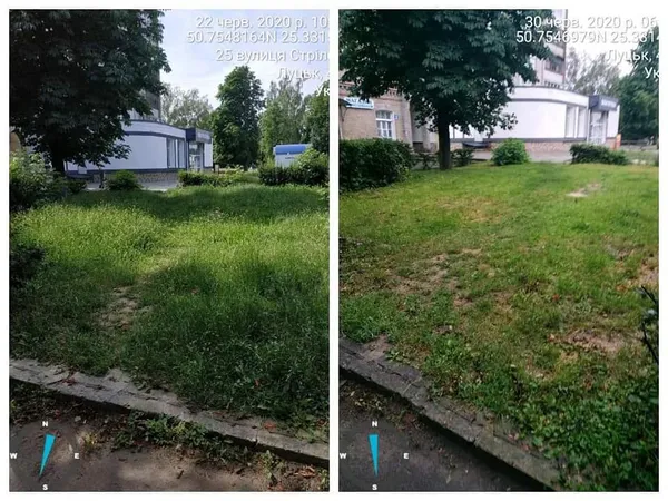 Не вище 15 сантиметрів: лучан змусили скосити траву (фото)