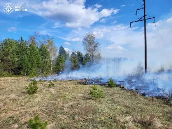 На Волині загасили кілька пожеж у лісах та чагарниках (фото)