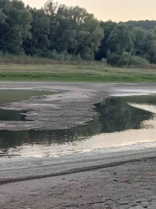 Через обміління Дністра з-під води показалася стара насипна дорога до затопленої Бакоти (фото)